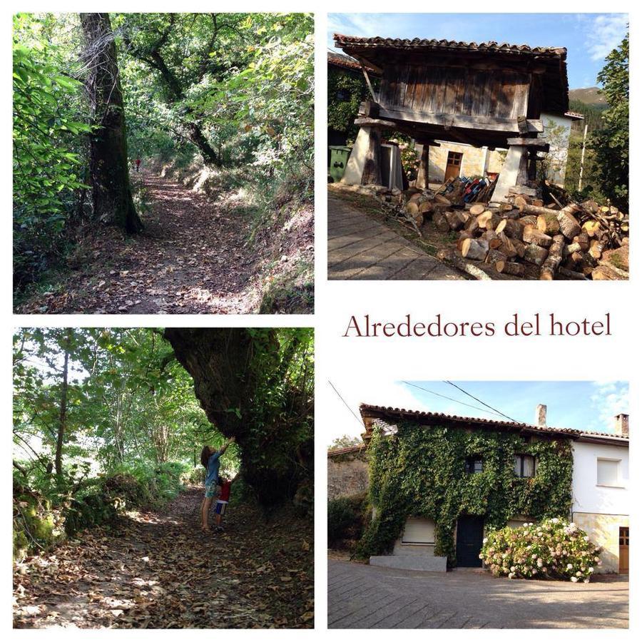Hotel El Quintanal Bode Eksteriør billede